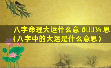 八字命理大运什么意 🐼 思（八字中的大运是什么意思）